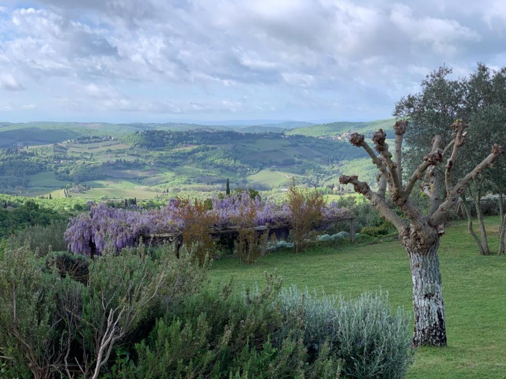 La Locanda Volpaia Radda in Chianti Extérieur photo